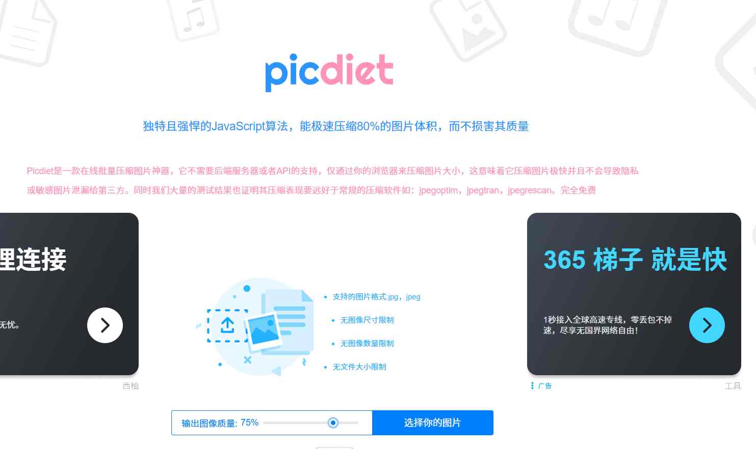 Picdiet